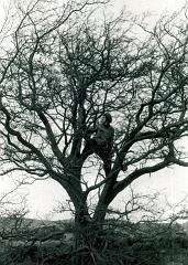 1970 UK Yorkshire Dales 053